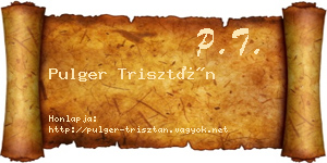 Pulger Trisztán névjegykártya